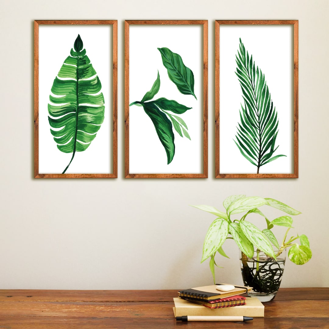 set de cuadros decorativos de hojas ilustradas